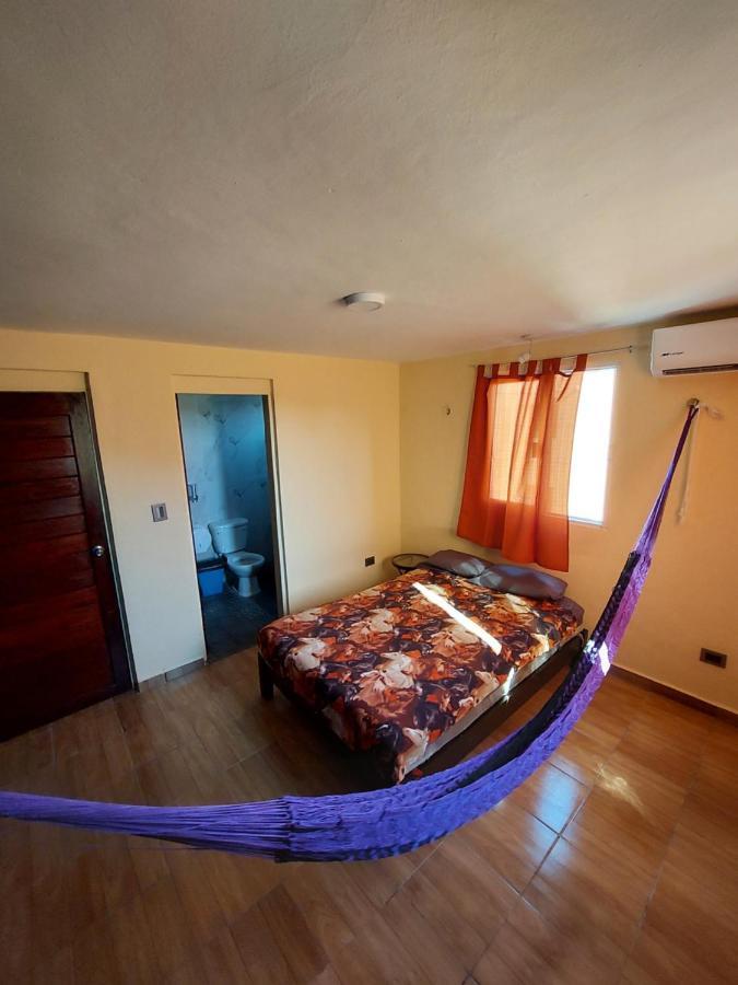 Venado 28 Vandrerhjem Cancún Eksteriør bilde
